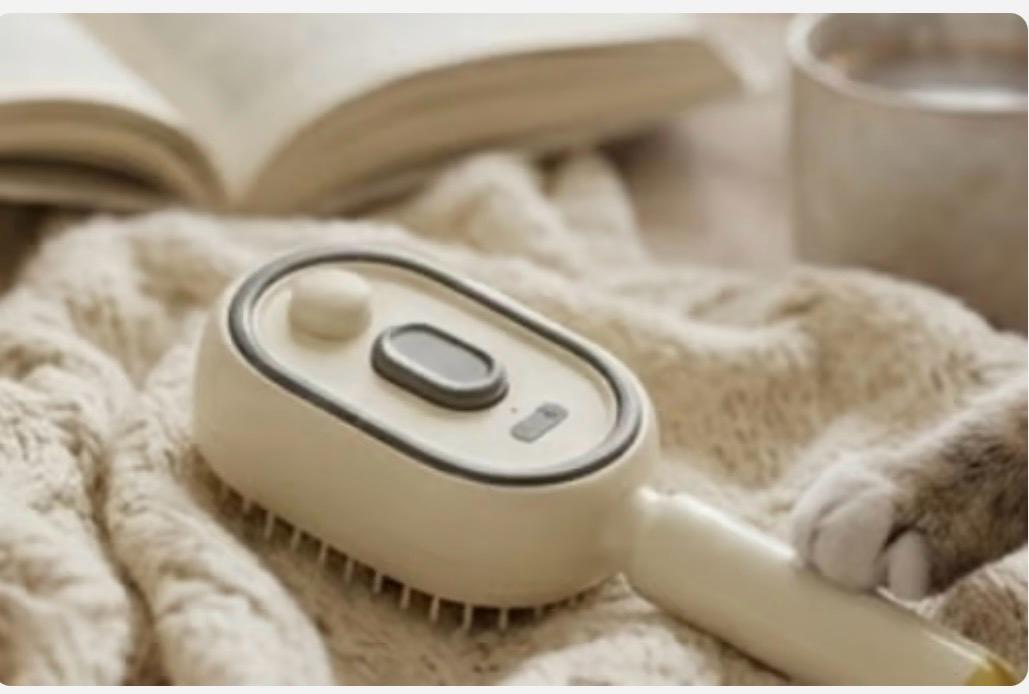 BROSSES RECHARGEABLE